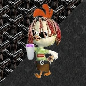 Meet your Posher, Jesse